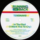 Tensnake - In The End