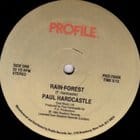 Paul Hardcastle - Rain Forest / Sound Chaser