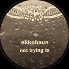 Ekkohaus - Not Trying To