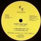 Popee & the N.Y. Squirrels - Bust That Nut