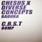 Chesus x Divers Concept / C.R.S.T. - Baduka / Bump