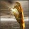 Hieroglyphic Being - Free The Energy 