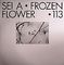 Sei A - Frozen flower