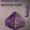 Boston Bun - Housecall