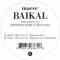 Baikal - Why Don't Ya (Ripperton/ Dixon Rmxs)