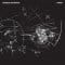 Lassigue Bendthaus - Matter