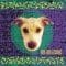 Kim Ann Foxman - My Dog Has Fleas (Pleasure Planet / C.P.I. Remixes)