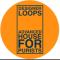 Designer Loops - Advanced House For Purists 