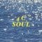 4 C - Soul S-Mile