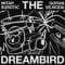 Mitar Subotic & Goran Vejvoda - The Dreambird