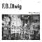 F.B. Illwig - Hairy Situations