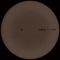 Adam Feingold - Nothing Is A Field