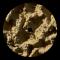 Franco Rossi - Phyllophaga