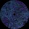 Clotur - Retro Reverie