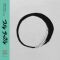 Ricardo Villalobos / Random Factor - 20 / 20 Vision - Full Circle Vol Two