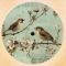 Putsch 79 - Birdz EP