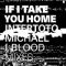 Intertoto - If I Take You Home (Michael J. Blood Mixes)