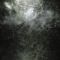 Various Artists - A Gate To The Forest (Ayu & Marijn S Remixes)