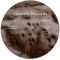 Kanyon / DJ John Brooklyn - Duplex EP