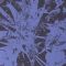 Plants Heal - Forest Dwellers
