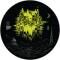 Distinct Motive - Hypnotize