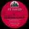 St. David - House Media Player EP