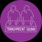 Transparent Sound - No Call From New York (Reissue)