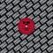 SLF IMG - Carne EP
