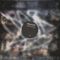 Trevor Linde - Peripeties of Stray Intention