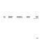 Linear System, Hugo Rolan, Translate, Ben Behrendt  - Analogue Audio Archive 001