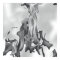 Laima Adelaide - Blaze (Feral remix)